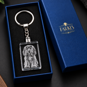 Crystal Keyring – illuminated