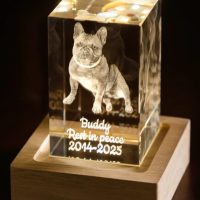 Buddy the Dog sml Xtool